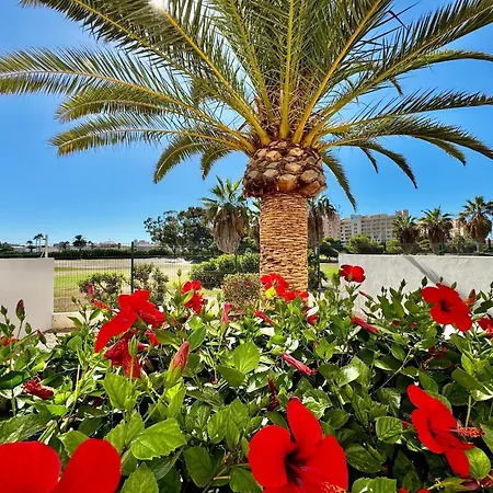 아파트 Near Playa Serena & Golf Club